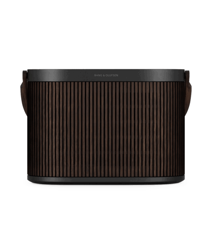 Powerful portable speaker